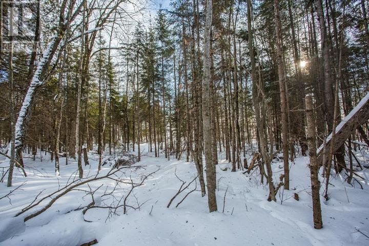 Lot 16 Red Maple Dr, Fire #5139, Hilton Township, Ontario  P0R 1G0 - Photo 15 - SM260272