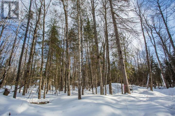 Lot 16 Red Maple Dr, Fire #5139, Hilton Township, Ontario  P0R 1G0 - Photo 10 - SM260272