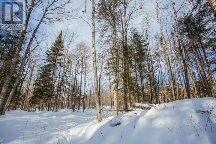 Lot 16 Red Maple Dr, Fire #5139, Hilton Township, Ontario  P0R 1G0 - Photo 14 - SM260272