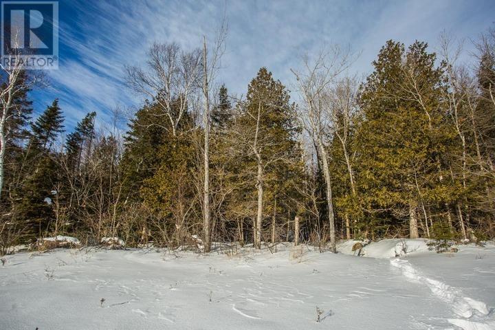 Lot 16 Red Maple Dr, Fire #5139, Hilton Township, Ontario  P0R 1G0 - Photo 20 - SM260272