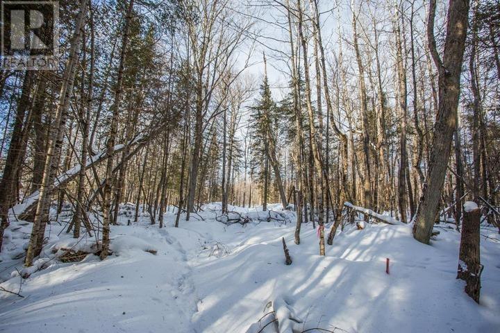 Lot 16 Red Maple Dr, Fire #5139, Hilton Township, Ontario  P0R 1G0 - Photo 23 - SM260272