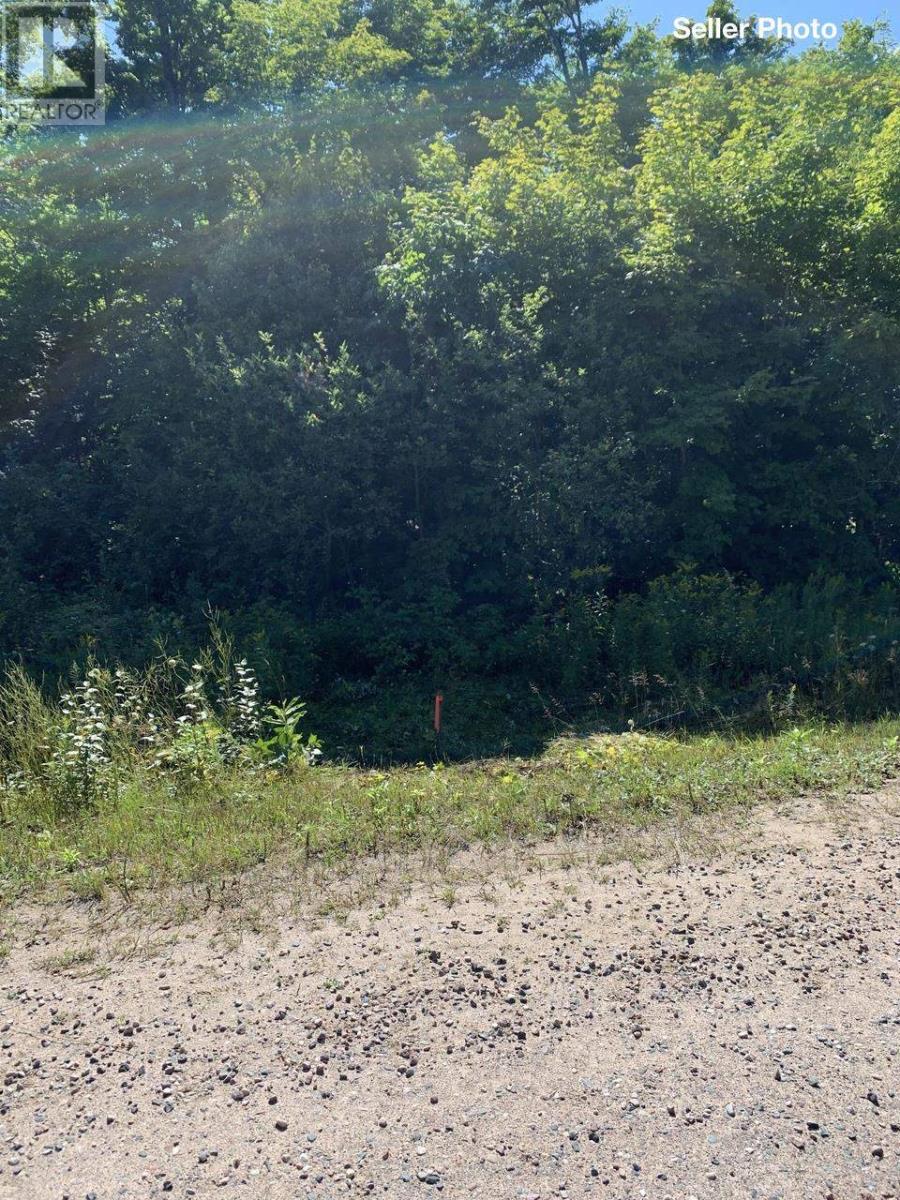 Lot 16 Red Maple Dr, Fire #5139, Hilton Township, Ontario  P0R 1G0 - Photo 31 - SM260272