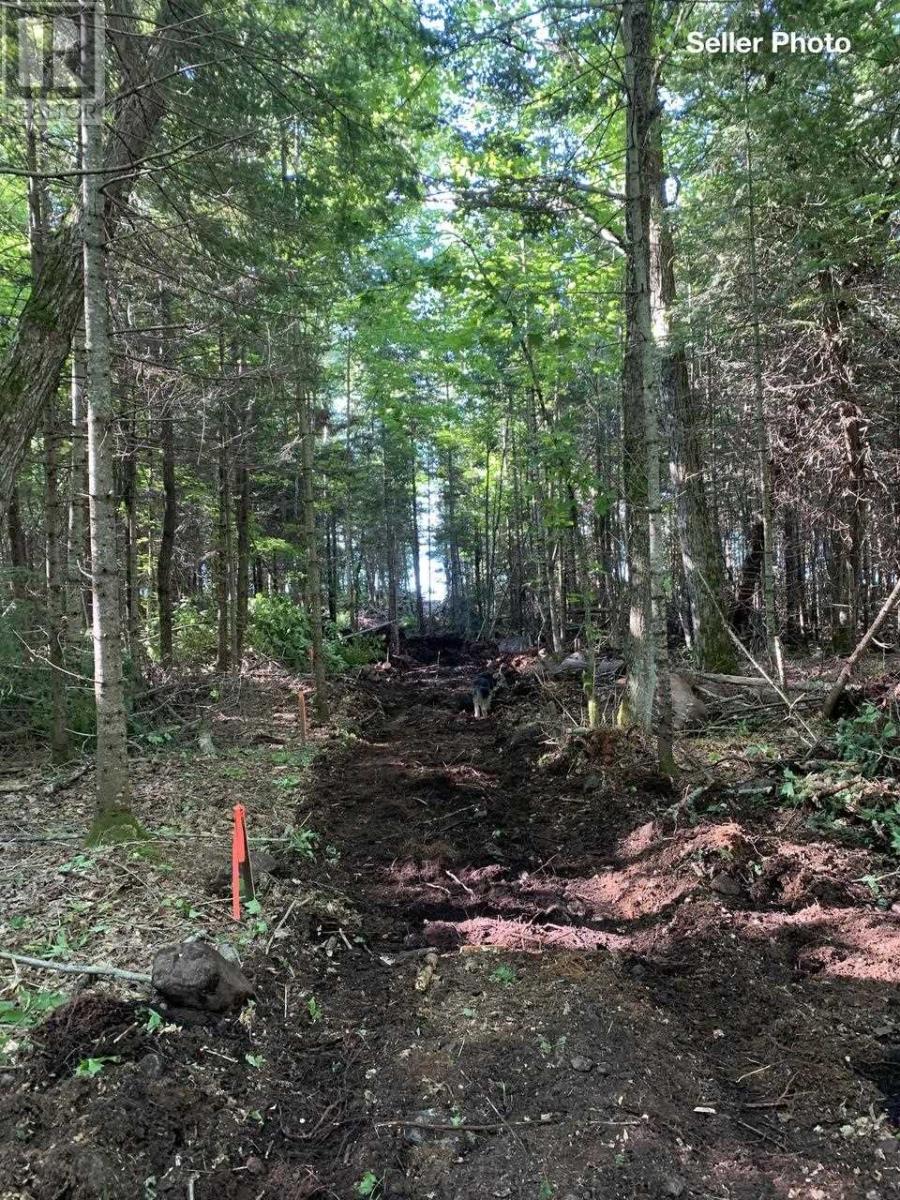 Lot 16 Red Maple Dr, Fire #5139, Hilton Township, Ontario  P0R 1G0 - Photo 32 - SM260272