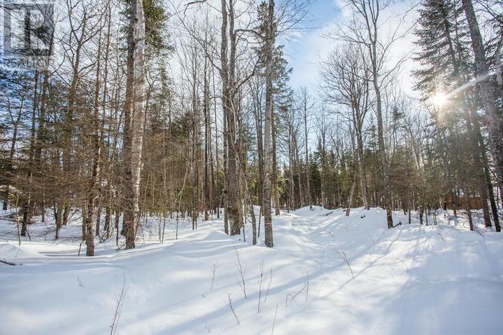 Lot 16 Red Maple Dr, Fire #5139, Hilton Township, Ontario  P0R 1G0 - Photo 9 - SM260272