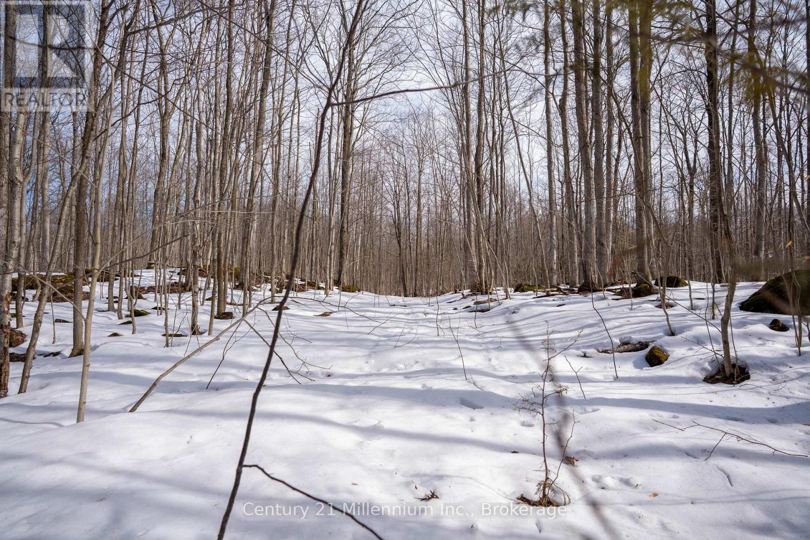 758341 Girl Guide Road, Georgian Bluffs, Ontario  N4K 5N7 - Photo 45 - X12877512