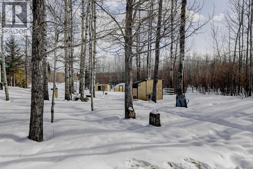 24541 Highway 676, M.d. Of, Alberta  T0H 1B0 - Photo 36 - A2292498