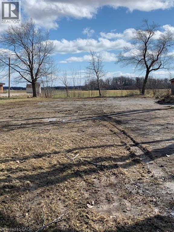 131 Talbot Street E, Jarvis, Ontario  N0A 1J0 - Photo 3 - 40811328