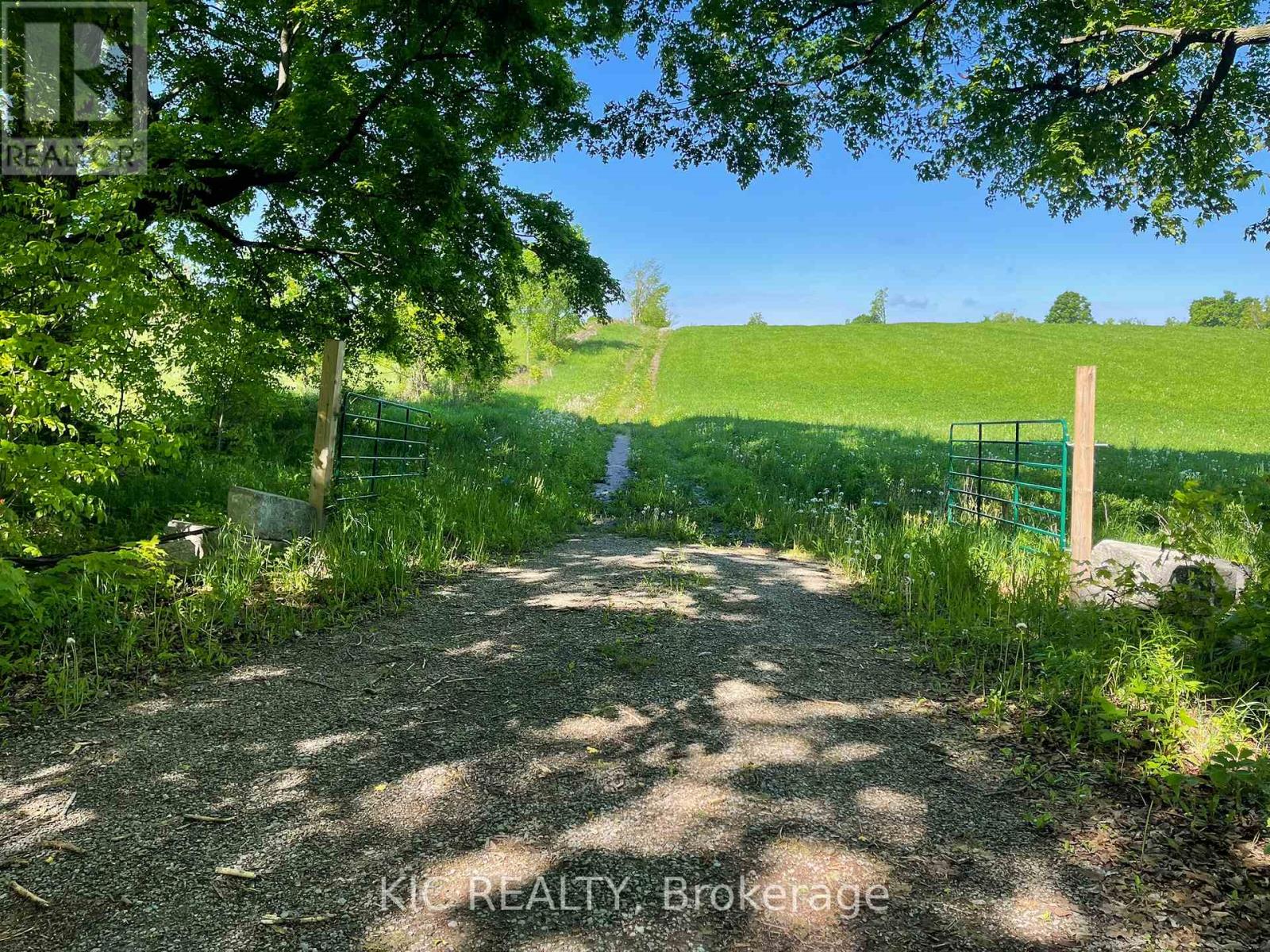 556 Fifth Line Rd Dum Road, Douro-Dummer, Ontario  K0L 3A0 - Photo 39 - X12185777