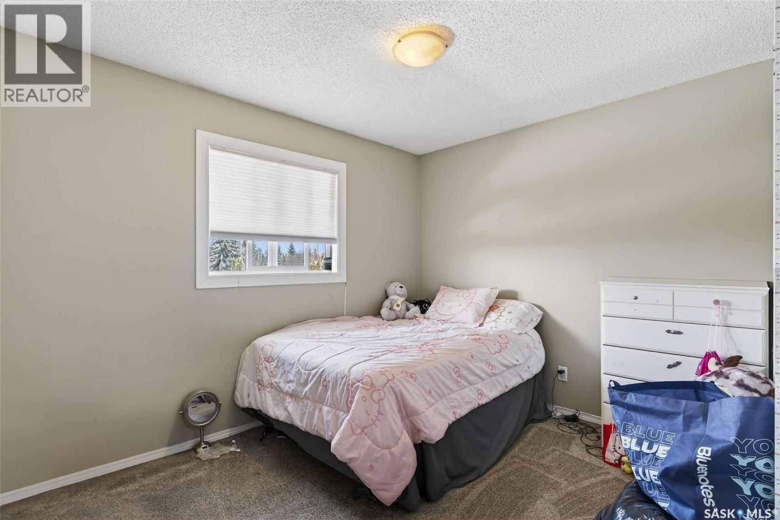 102-104 Hedley Street, Saskatoon, Saskatchewan  S7N 4G4 - Photo 39 - SK030184