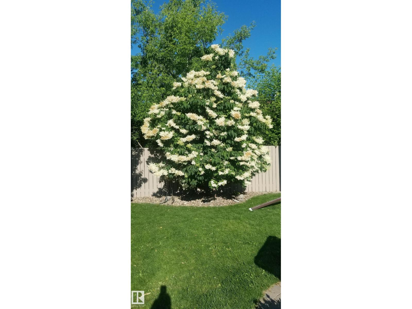 12127 152a Av Nw, Edmonton, Alberta  T5X 1R1 - Photo 6 - E4477142