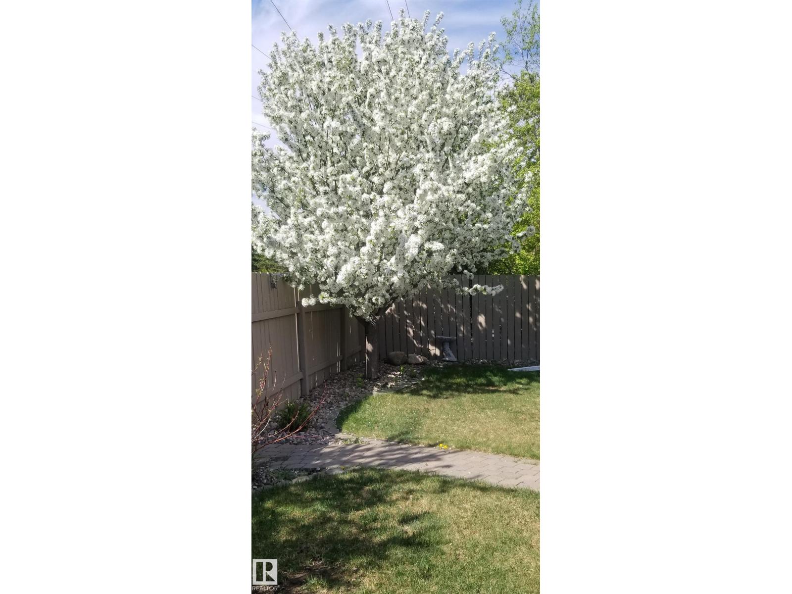 12127 152a Av Nw, Edmonton, Alberta  T5X 1R1 - Photo 8 - E4477142