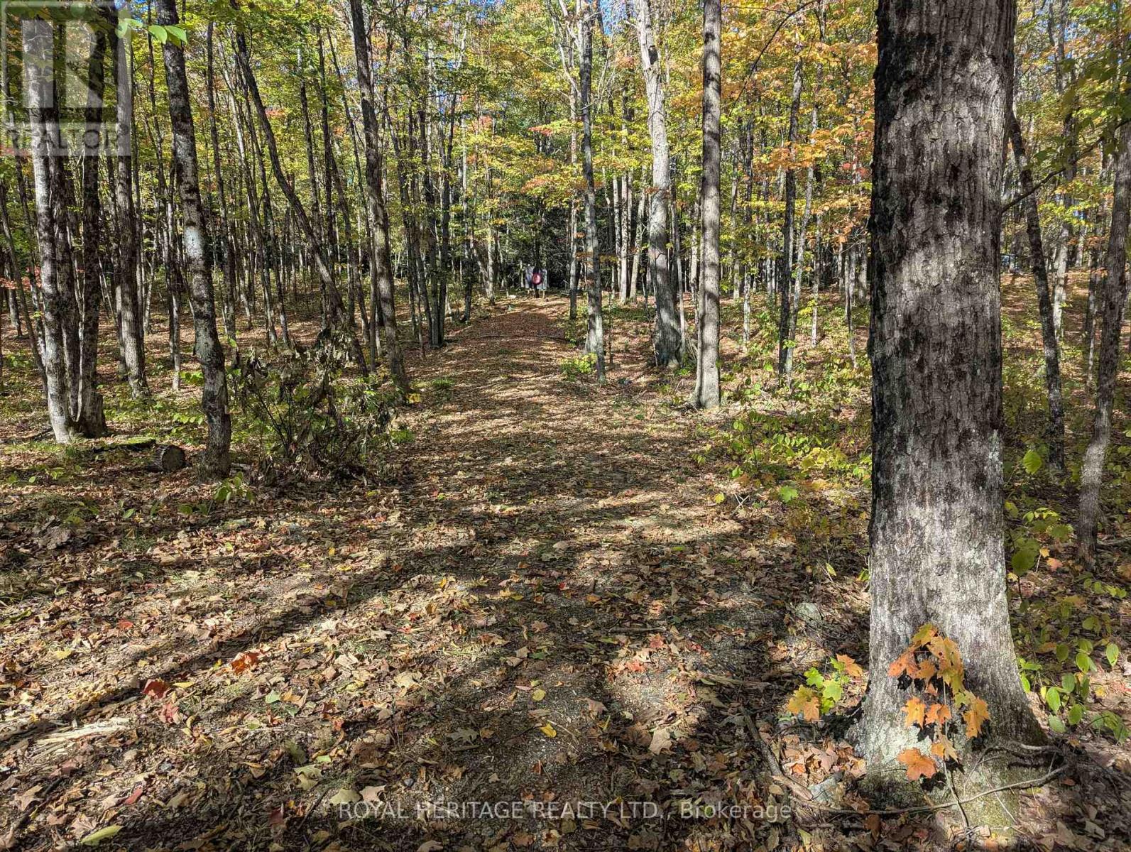 0 Kushog Lake Road, Algonquin Highlands (Stanhope), Ontario  K0M 1S0 - Photo 2 - X12877554