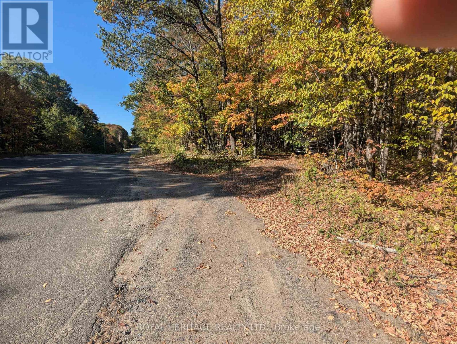 0 Kushog Lake Road, Algonquin Highlands (Stanhope), Ontario  K0M 1S0 - Photo 3 - X12877554