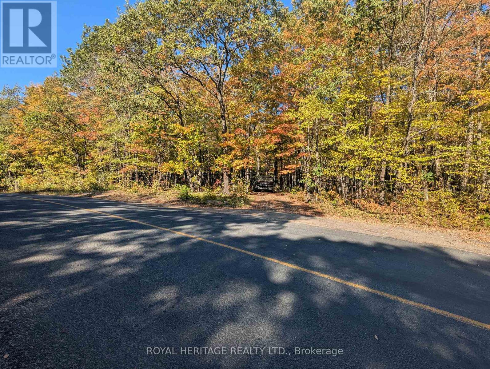 0 Kushog Lake Road, Algonquin Highlands (Stanhope), Ontario  K0M 1S0 - Photo 4 - X12877554