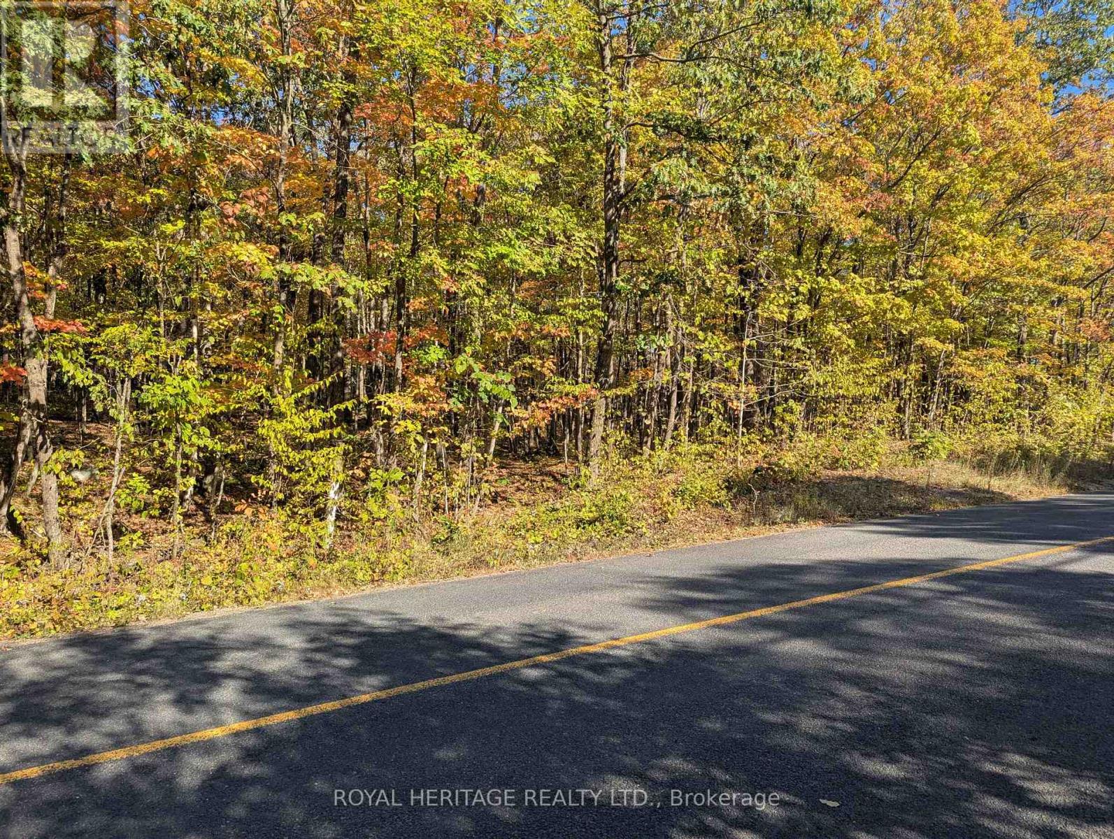 0 Kushog Lake Road, Algonquin Highlands (Stanhope), Ontario  K0M 1S0 - Photo 5 - X12877554