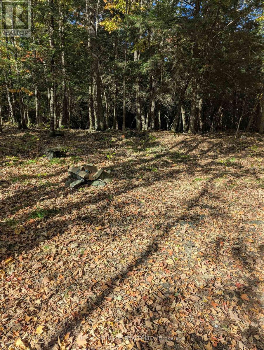 0 Kushog Lake Road, Algonquin Highlands (Stanhope), Ontario  K0M 1S0 - Photo 7 - X12877554