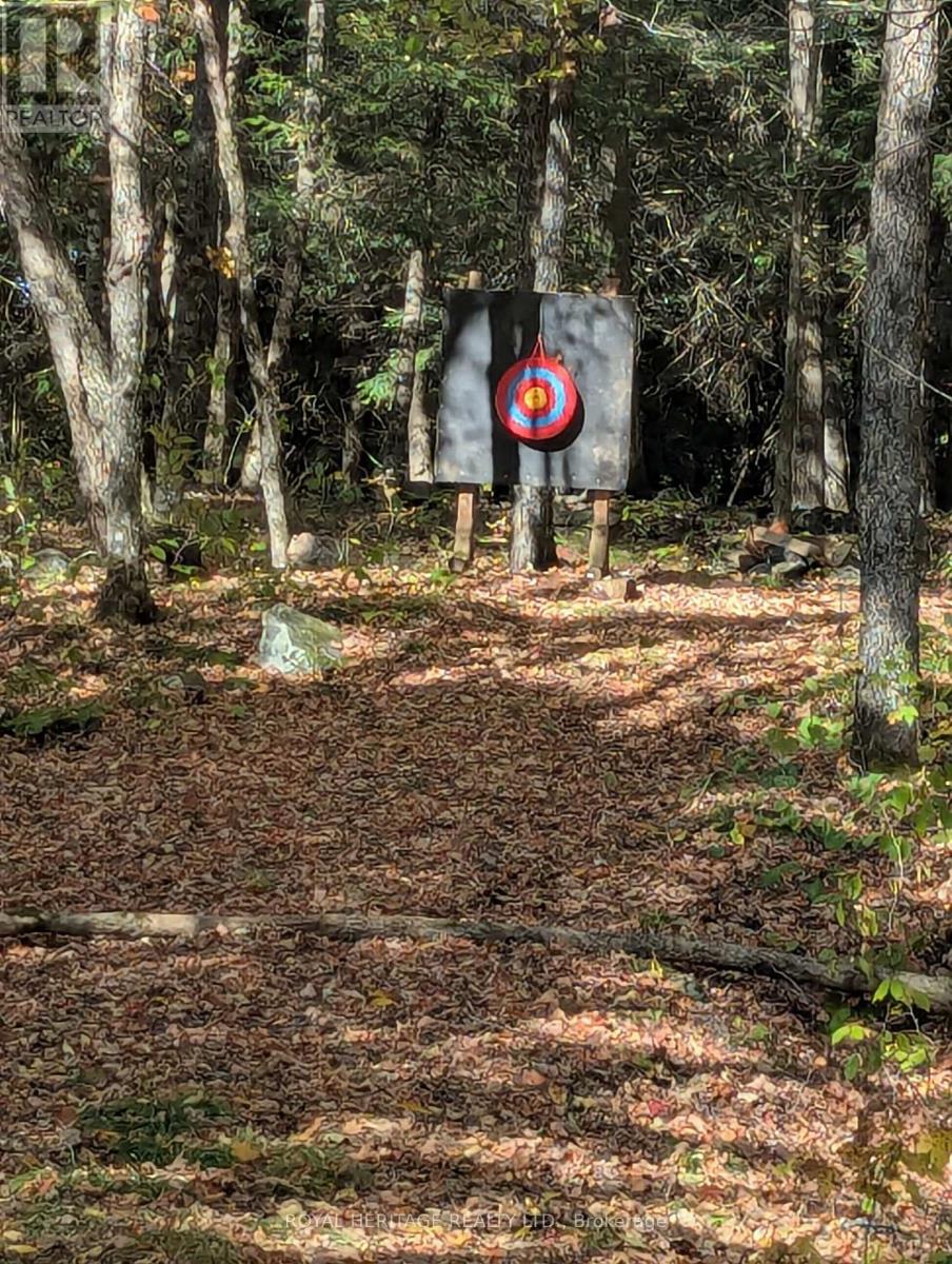 0 Kushog Lake Road, Algonquin Highlands (Stanhope), Ontario  K0M 1S0 - Photo 8 - X12877554