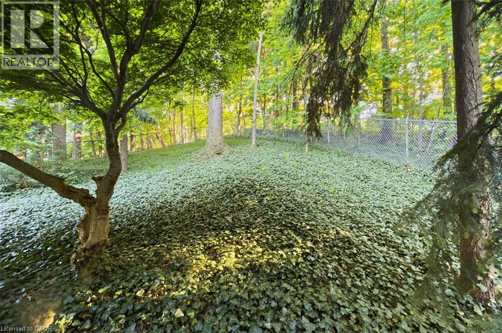 18 Stonegate Drive, Hamilton, Ontario  L9G 3R7 - Photo 49 - 40811697