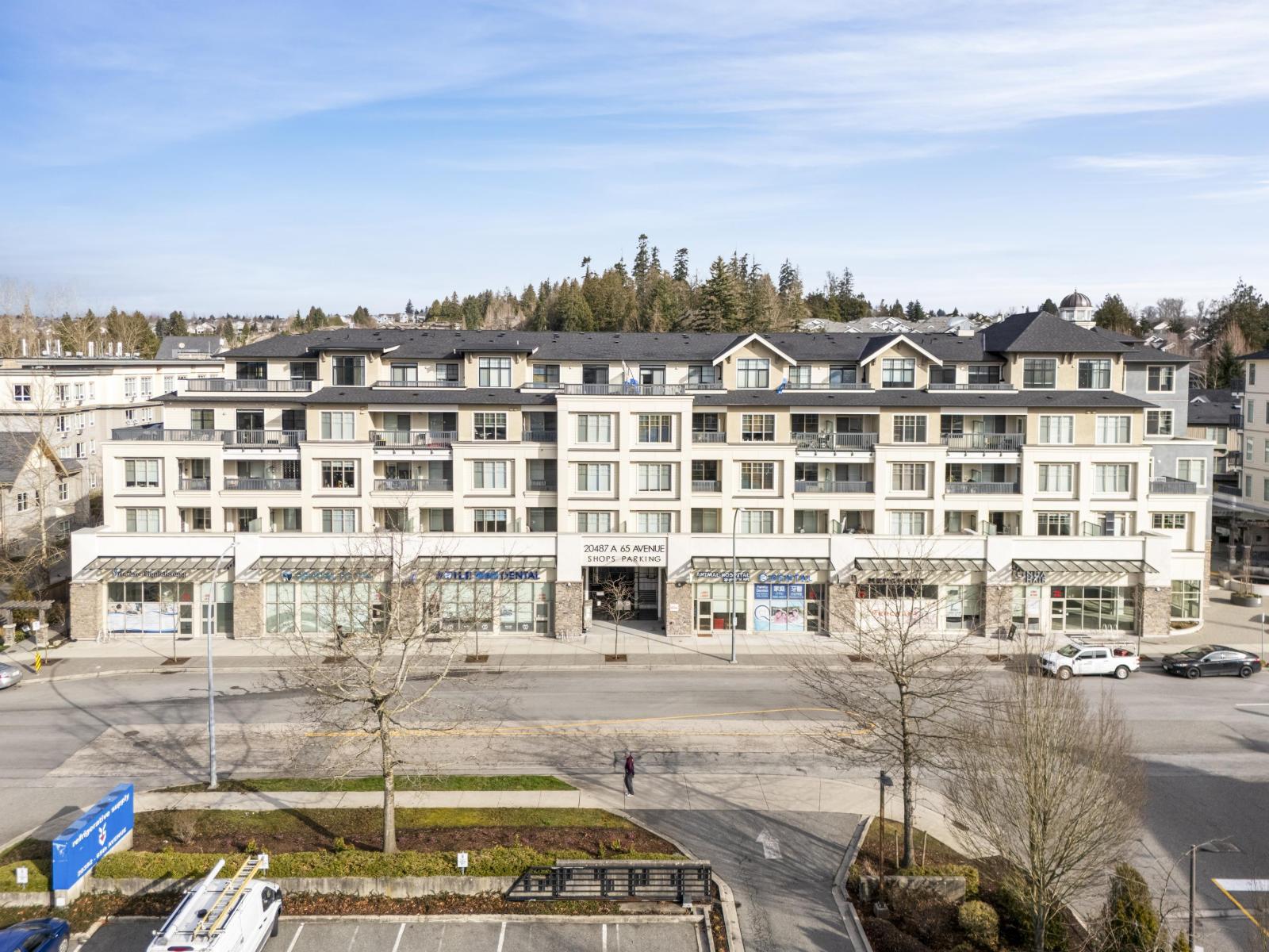 A155 20487 65 Avenue, Langley, British Columbia  V2Y 3K5 - Photo 5 - C8076974