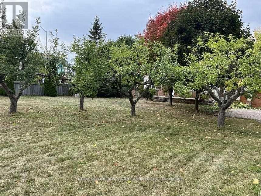 235 Lakeshore Road W, Oakville (Co Central), Ontario  L6K 1E9 - Photo 21 - W12877544