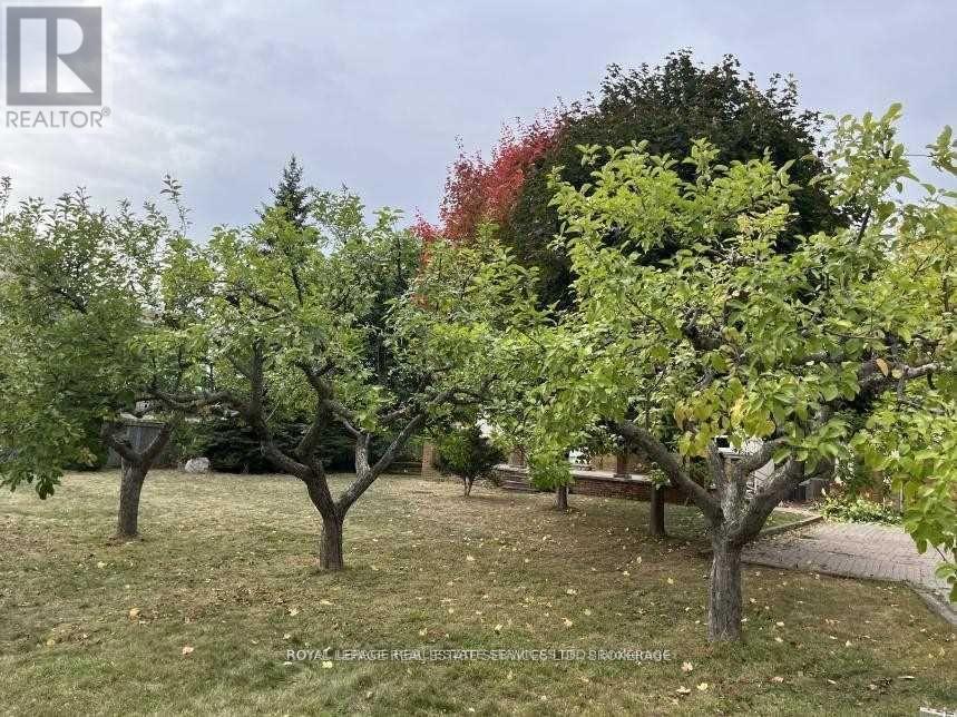 235 Lakeshore Road W, Oakville (Co Central), Ontario  L6K 1E9 - Photo 22 - W12877544