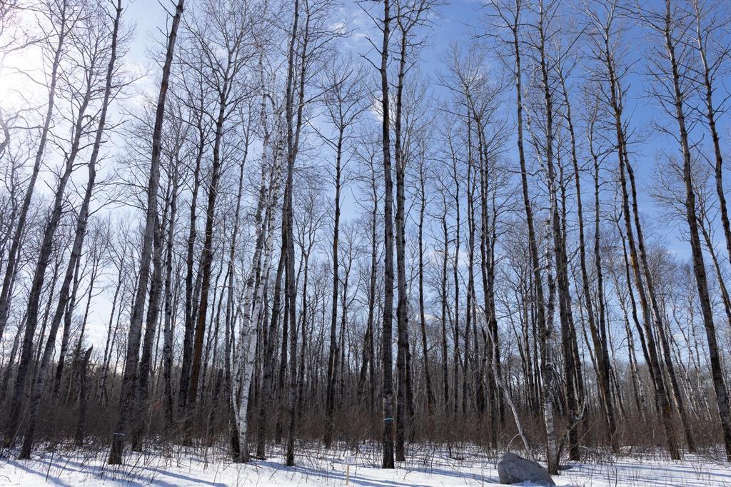 14 Jackpine Crescent, Woodridge, Manitoba  R0A 2N0 - Photo 2 - 202604450