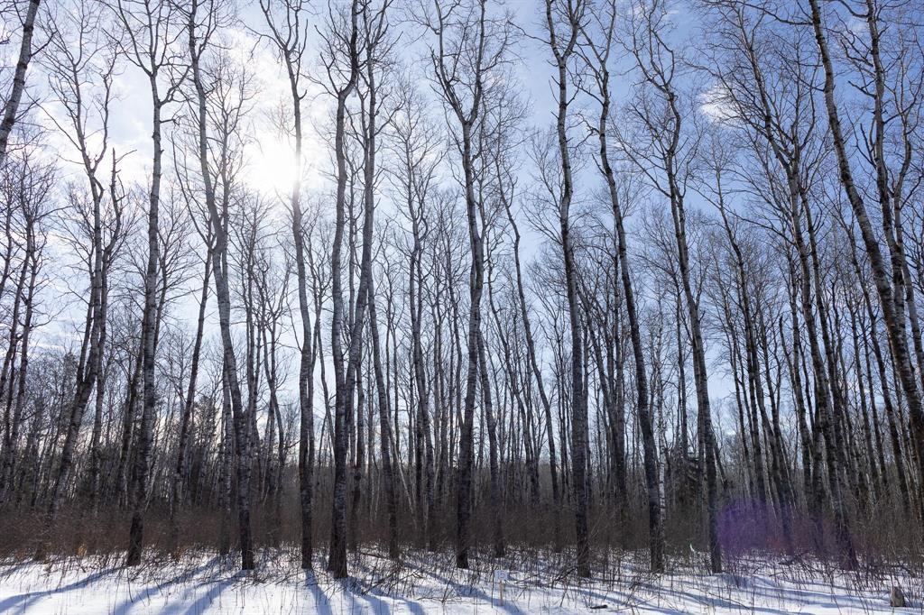 15 Jackpine Crescent, Woodridge, Manitoba  R0A 2N0 - Photo 2 - 202604452