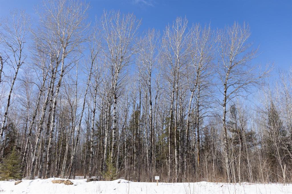 19 Jackpine Crescent, Woodridge, Manitoba  R0A 2N0 - Photo 2 - 202604458