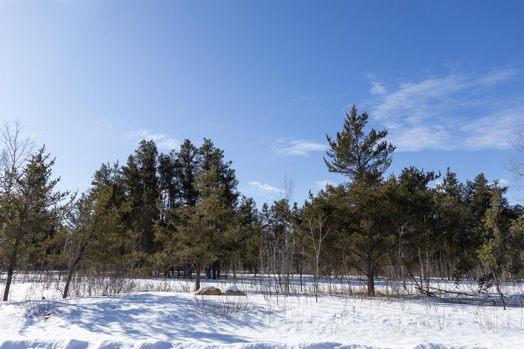 23 Jackpine Crescent, Woodridge, Manitoba  R0A 2N0 - Photo 2 - 202604490