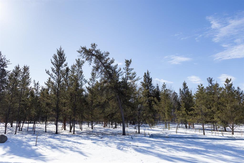 25 Jackpine Crescent, Woodridge, Manitoba  R0A 2N0 - Photo 2 - 202604493