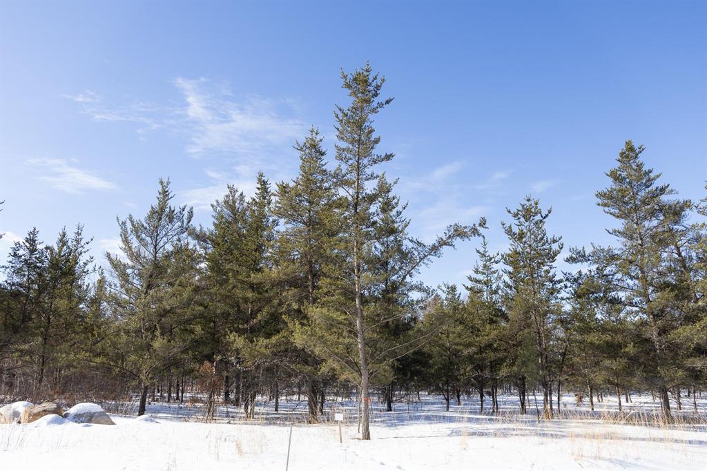 26 Jackpine Crescent, Woodridge, Manitoba  R0A 2N0 - Photo 2 - 202604494