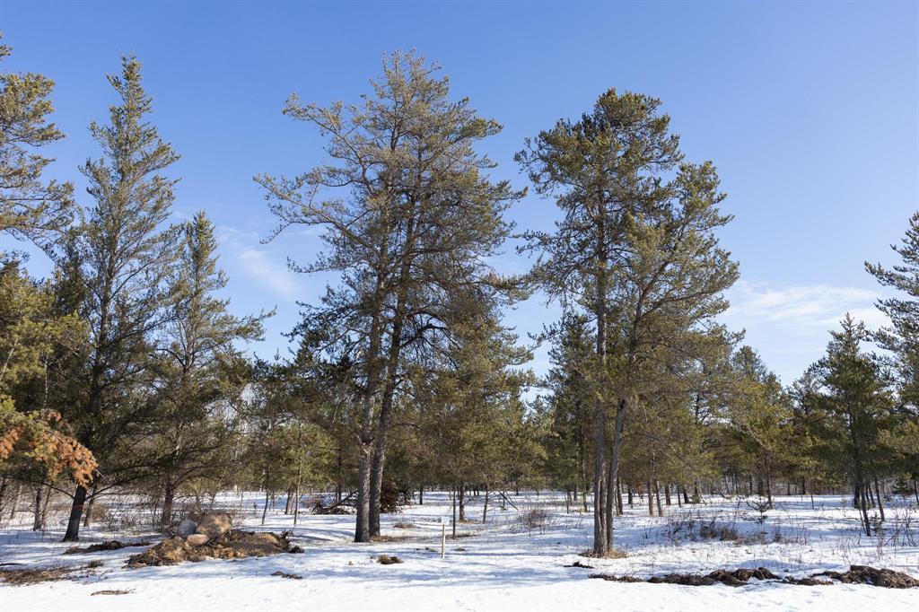 27 Jackpine Crescent, Woodridge, Manitoba  R0A 2N0 - Photo 2 - 202604495