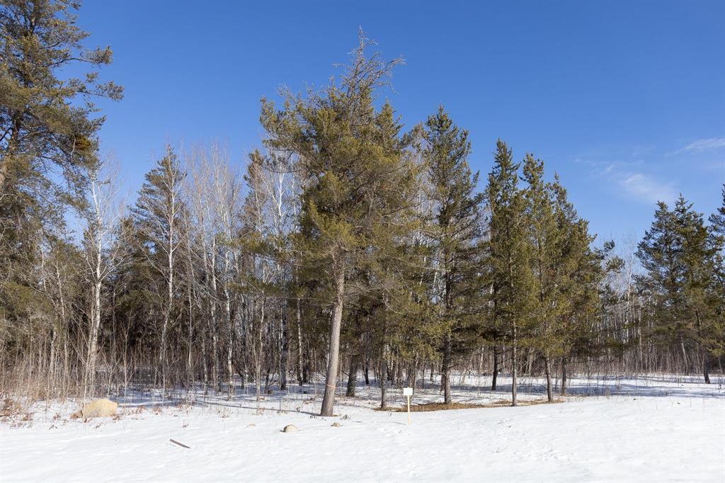 28 Jackpine Crescent, Woodridge, Manitoba  R0A 2N0 - Photo 2 - 202604497