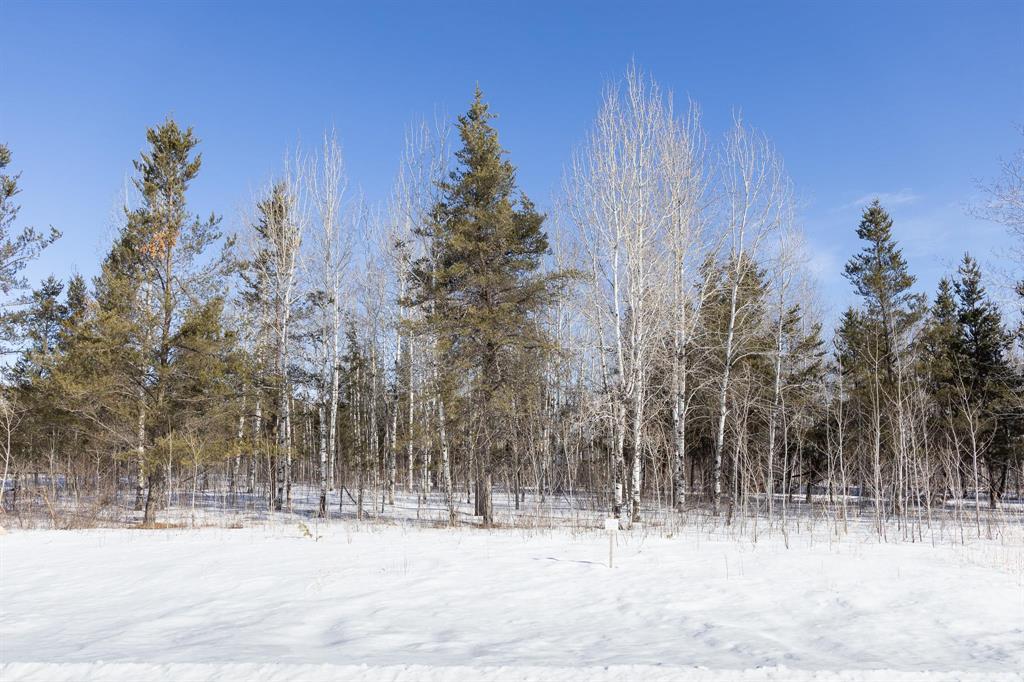 29 Jackpine Crescent, Woodridge, Manitoba  R0A 2N0 - Photo 2 - 202604498