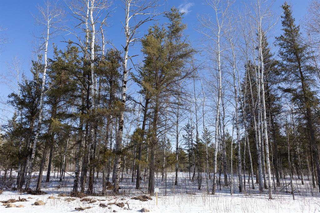 30 Jackpine Crescent, Woodridge, Manitoba  R0A 2N0 - Photo 2 - 202604500