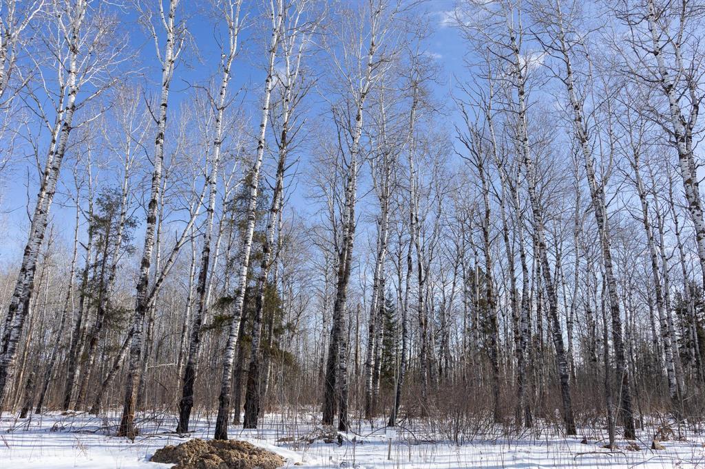 32 Jackpine Crescent, Woodridge, Manitoba  R0A 2N0 - Photo 2 - 202604502