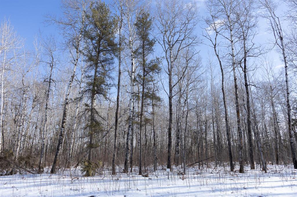 33 Jackpine Crescent, Woodridge, Manitoba  R0A 2N0 - Photo 2 - 202604503