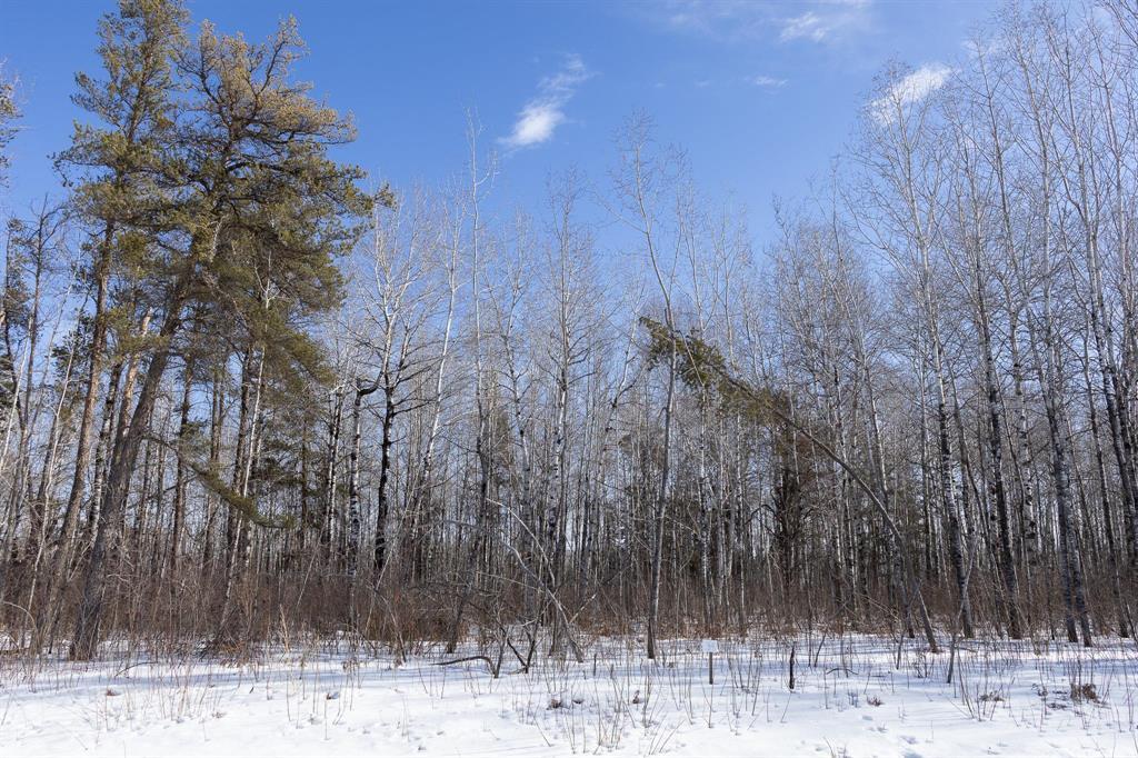 34 Jackpine Crescent, Woodridge, Manitoba  R0A 2N0 - Photo 2 - 202604504