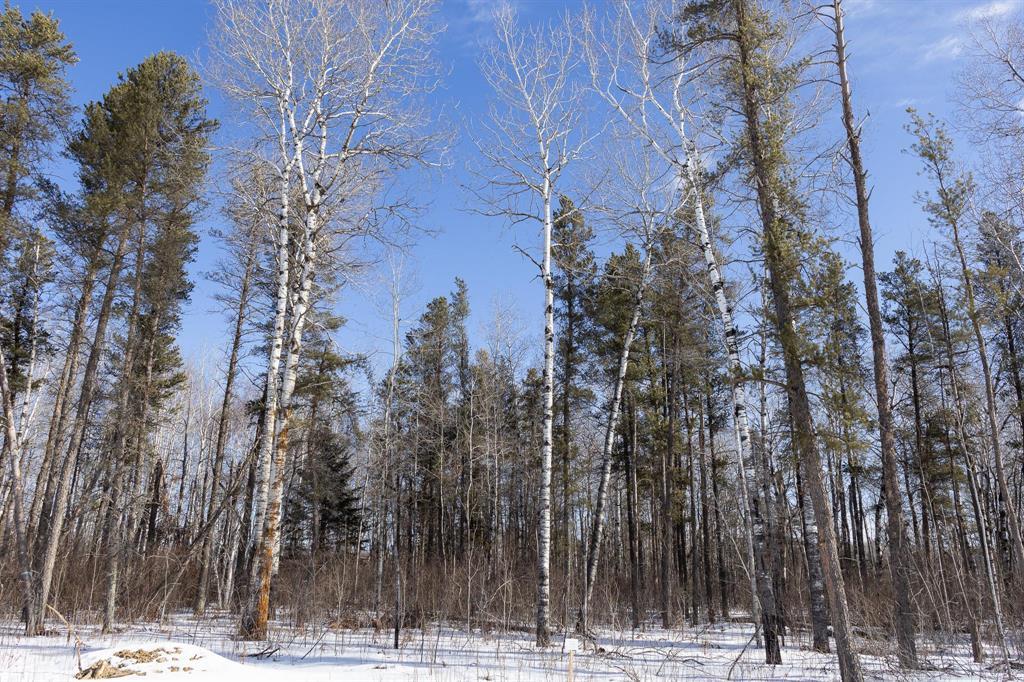 35 Jackpine Crescent, Woodridge, Manitoba  R0A 2N0 - Photo 2 - 202604506