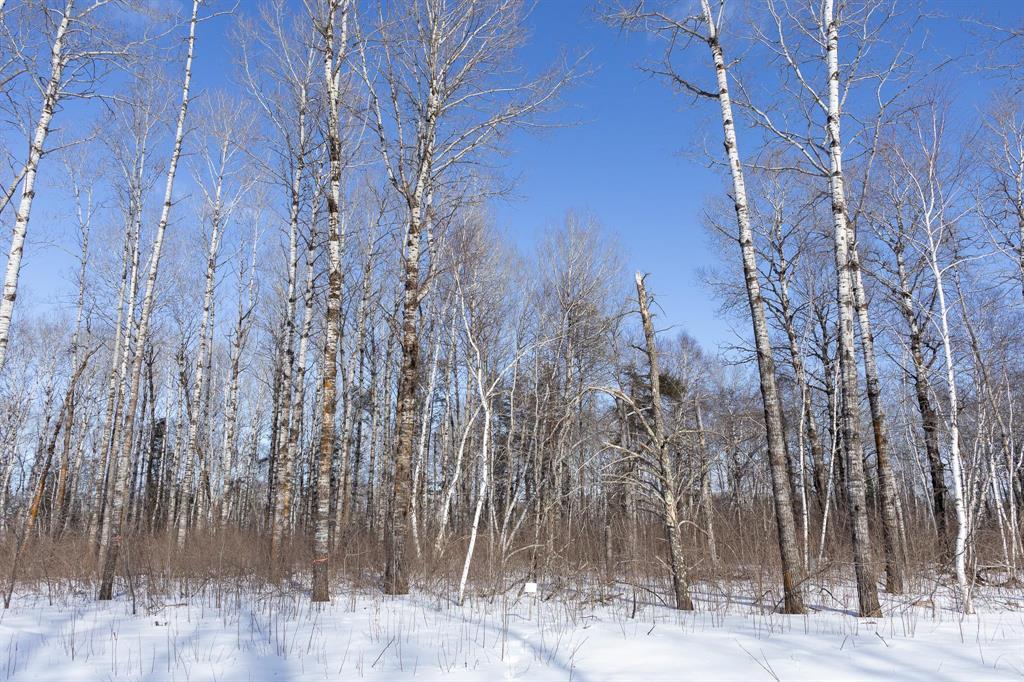 37 Jackpine Crescent, Woodridge, Manitoba  R0A 2N0 - Photo 2 - 202604507