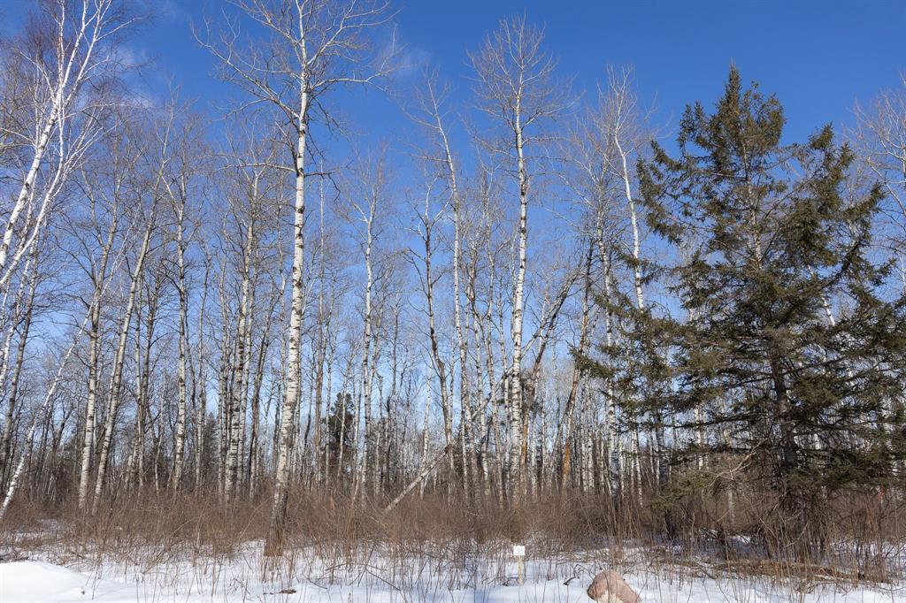 38 Jackpine Crescent, Woodridge, Manitoba  R0A 2N0 - Photo 2 - 202604510