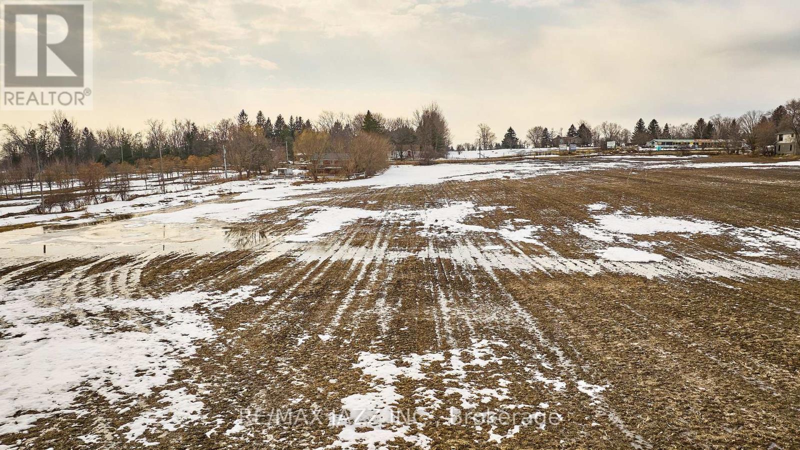 8795 Baldwin Street N, Whitby, Ontario  L0B 1A0 - Photo 5 - E12877786