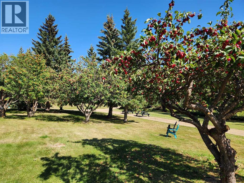 5430 51a Street, Bashaw, Alberta  T0B 0H0 - Photo 48 - A2247537