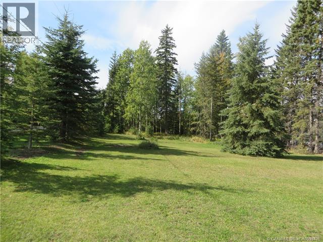 6312 47 Avenue, Rocky Mountain House, Alberta T4T 1G3 - Photo 3 - A2117827