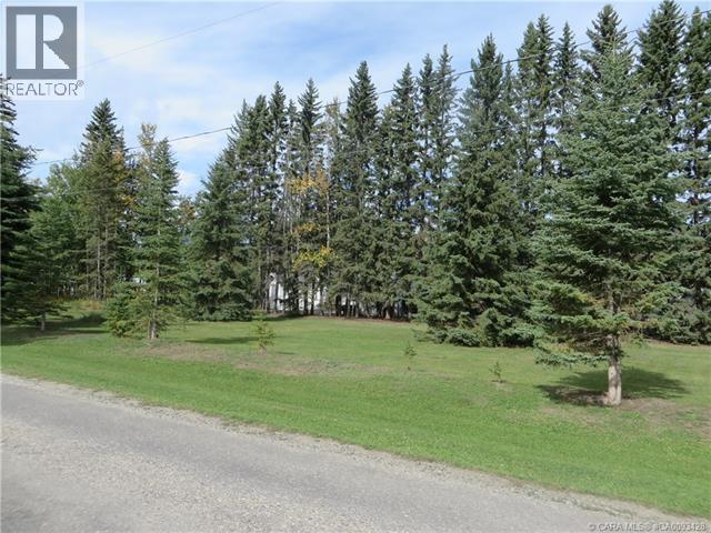 6312 47 Avenue, Rocky Mountain House, Alberta T4T 1G3 - Photo 28 - A2117827