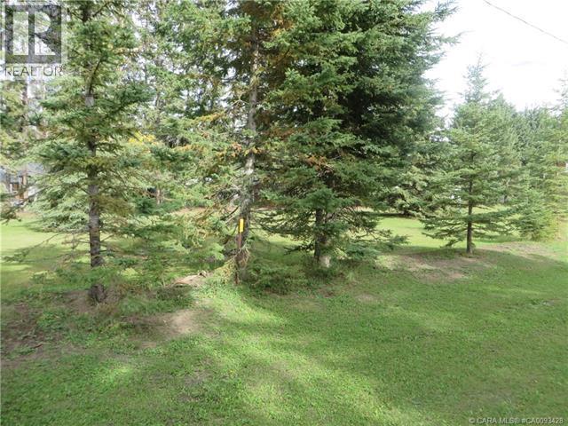 6312 47 Avenue, Rocky Mountain House, Alberta T4T 1G3 - Photo 27 - A2117827