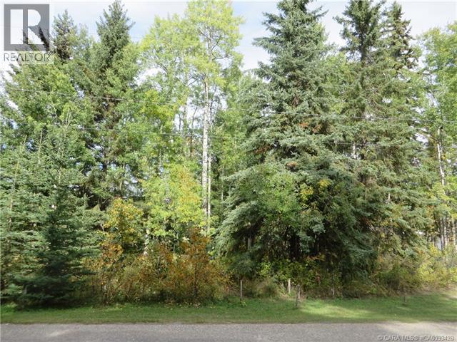 6312 47 Avenue, Rocky Mountain House, Alberta T4T 1G3 - Photo 30 - A2117827