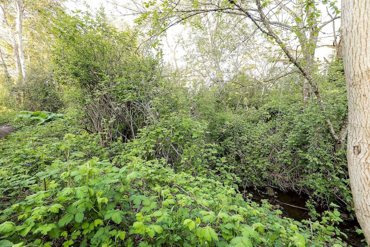 4 32311 Mcrae Avenue, Mission, British Columbia  V2V 4X7 - Photo 34 - R3099049