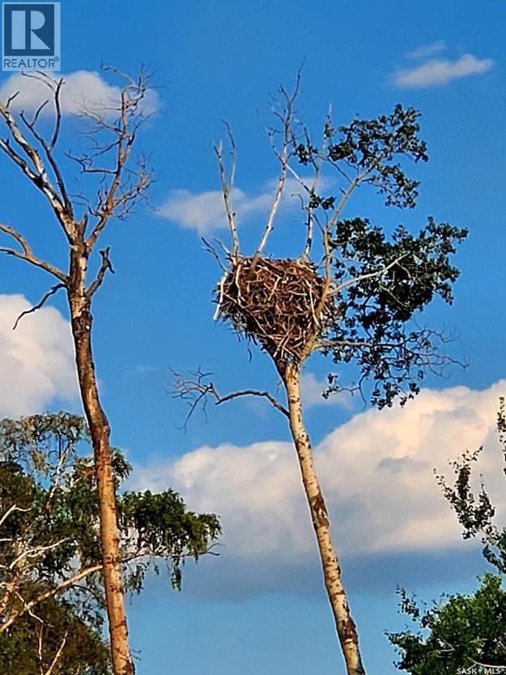 Lot 4 Dixon View, Invergordon Rm No. 430, Saskatchewan  S0K 1A0 - Photo 12 - SK030307