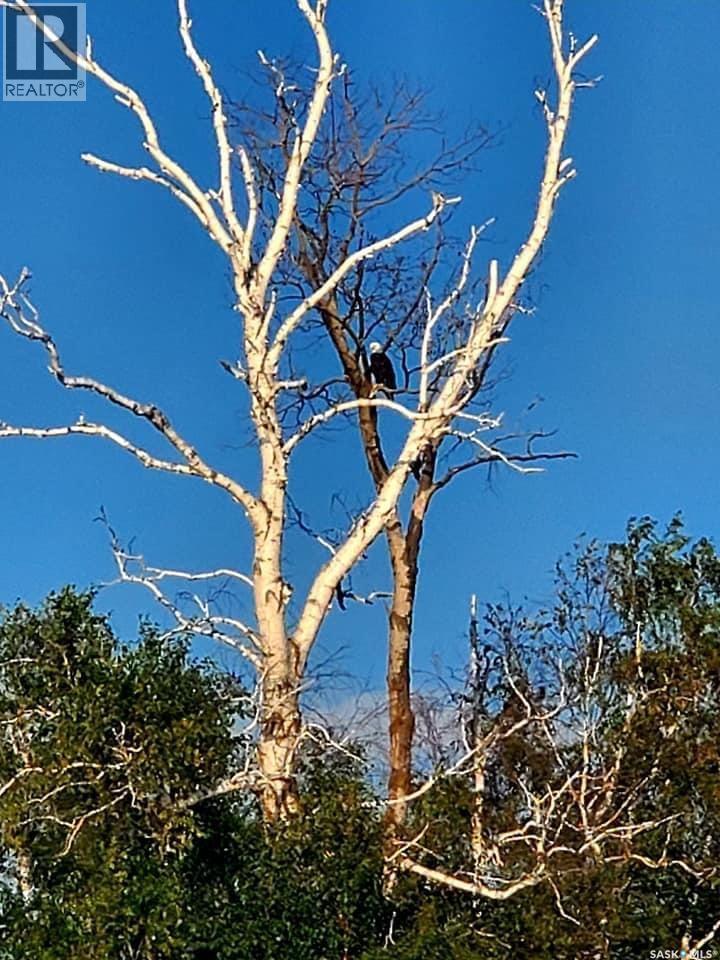 Lot 4 Dixon View, Invergordon Rm No. 430, Saskatchewan  S0K 1A0 - Photo 13 - SK030307